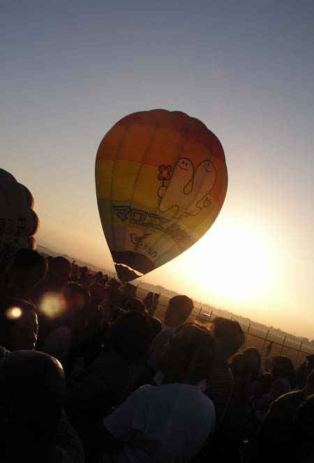 Hot Air Balloon Fiesta