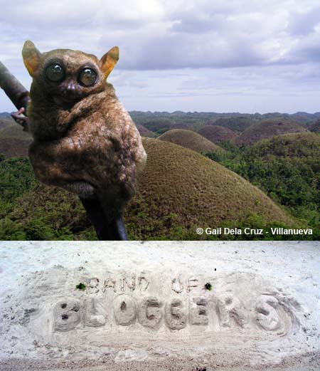 The Bohol Experience!