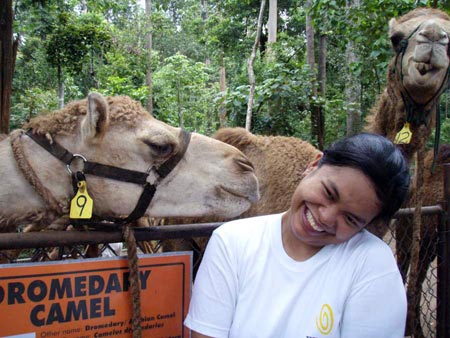 Me with the crazy camel
